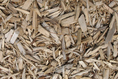 biomass boilers Stoneywood